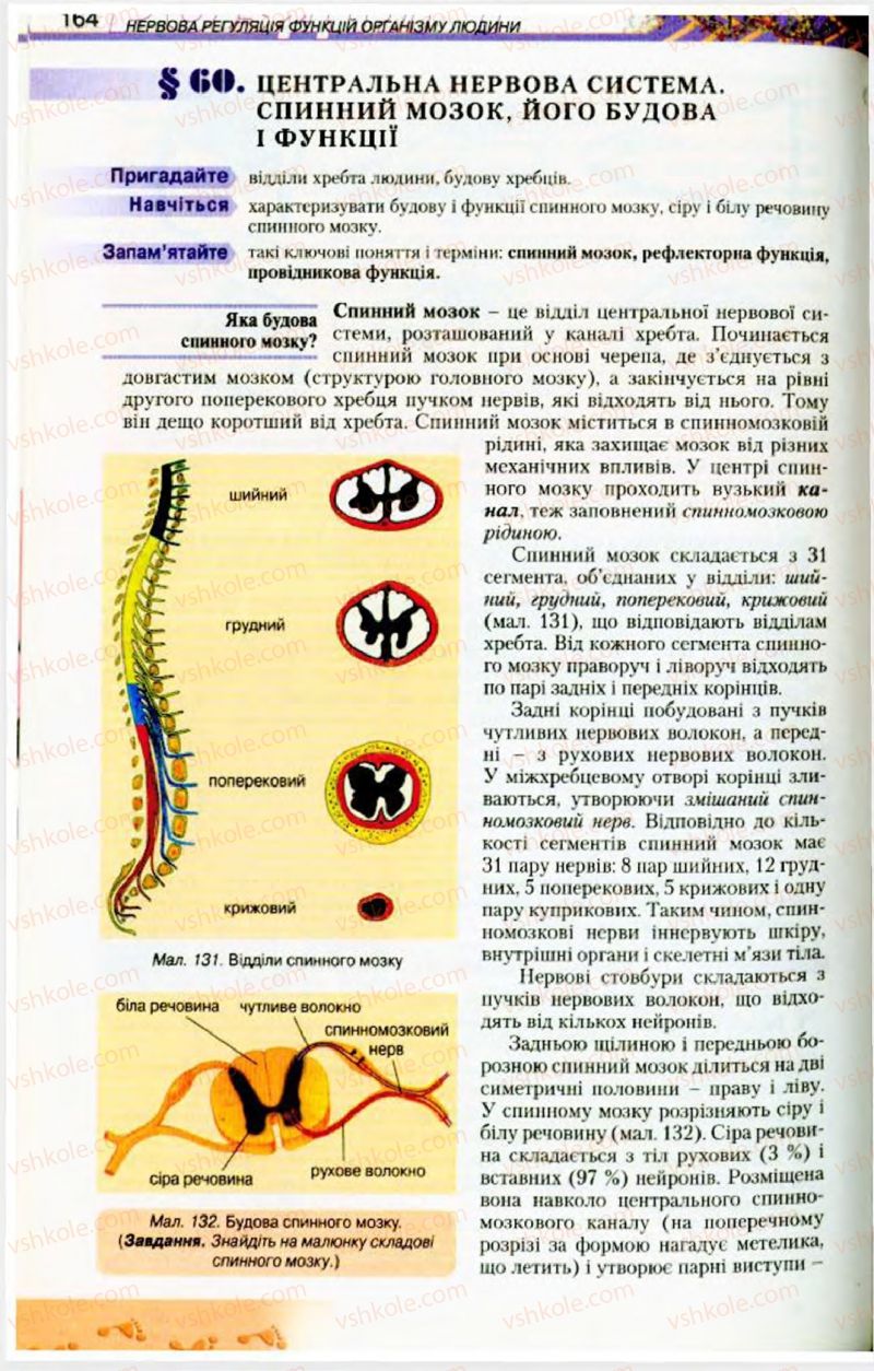 Страница 164 | Підручник Біологія 9 клас Н.Ю. Матяш, М.Н. Шабатура 2009