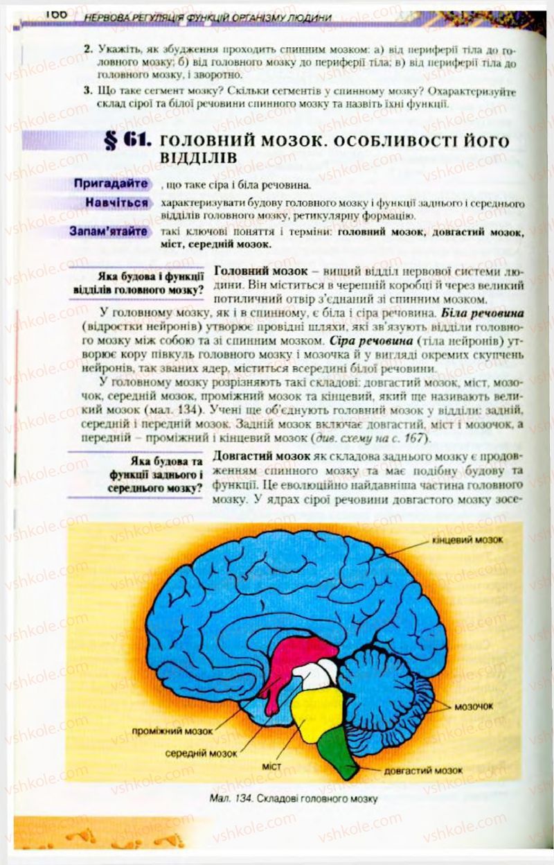 Страница 166 | Підручник Біологія 9 клас Н.Ю. Матяш, М.Н. Шабатура 2009