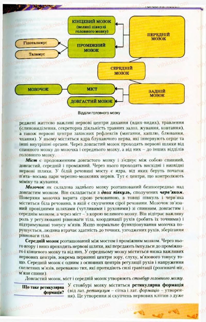 Страница 167 | Підручник Біологія 9 клас Н.Ю. Матяш, М.Н. Шабатура 2009