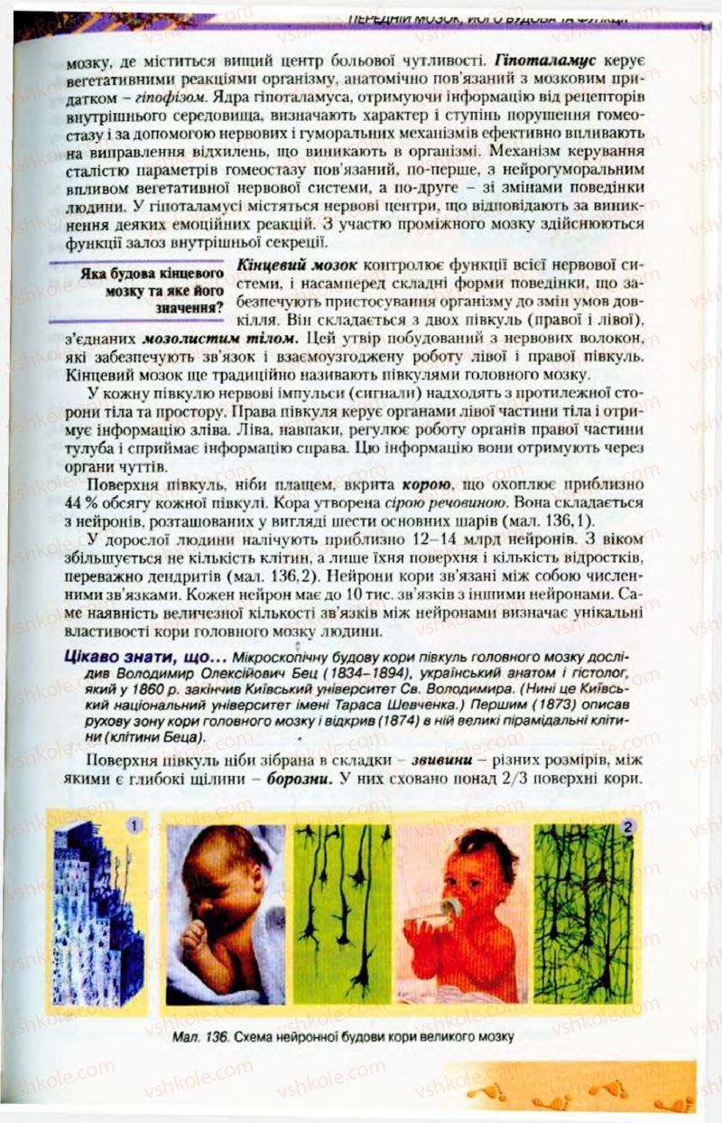 Страница 169 | Підручник Біологія 9 клас Н.Ю. Матяш, М.Н. Шабатура 2009