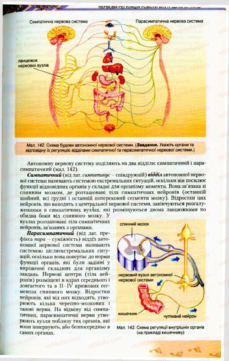 Страница 175 | Підручник Біологія 9 клас Н.Ю. Матяш, М.Н. Шабатура 2009