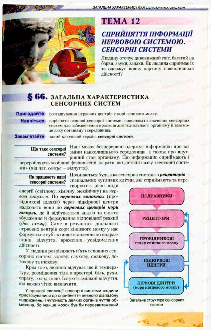 Страница 181 | Підручник Біологія 9 клас Н.Ю. Матяш, М.Н. Шабатура 2009