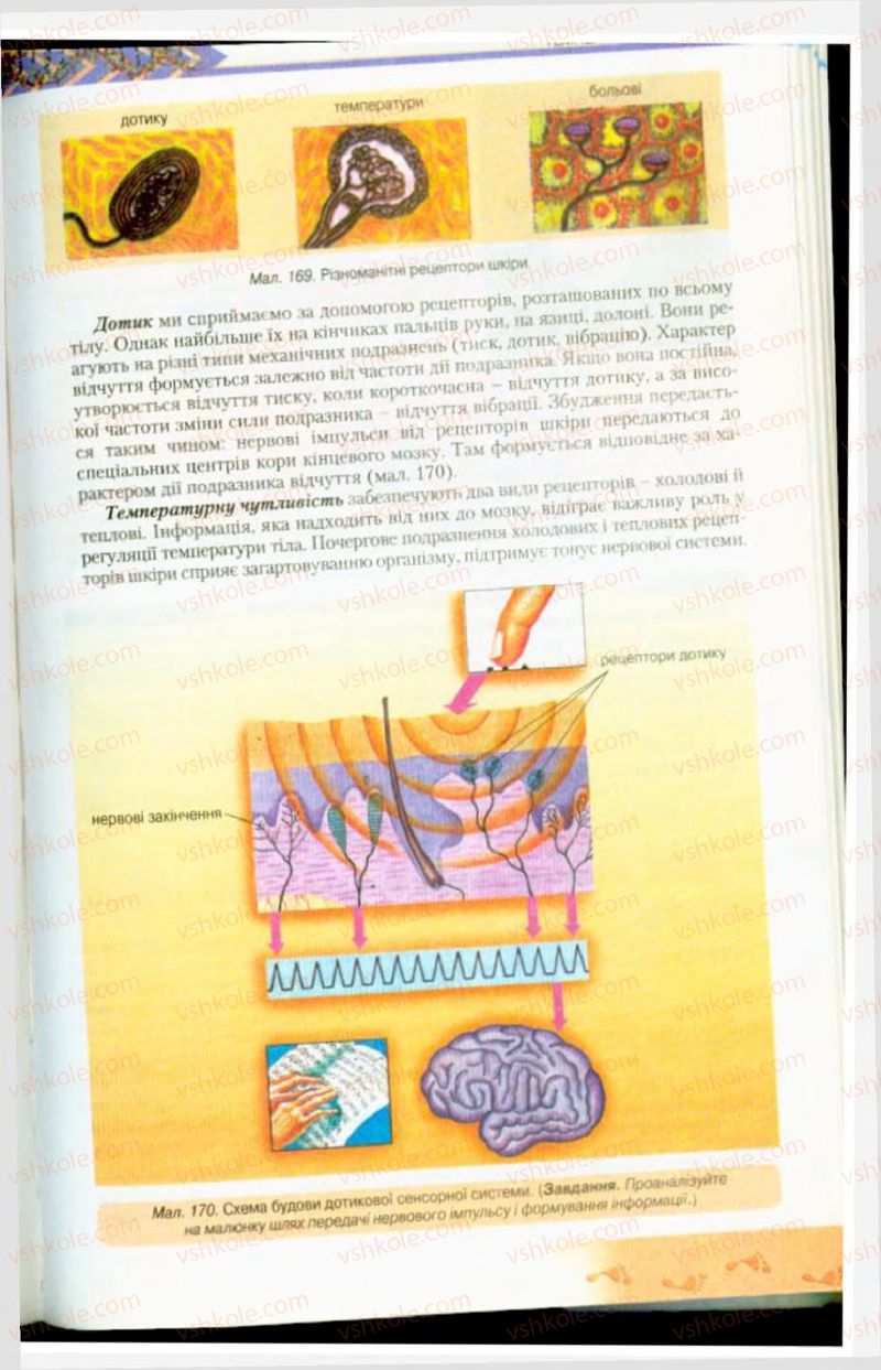 Страница 201 | Підручник Біологія 9 клас Н.Ю. Матяш, М.Н. Шабатура 2009