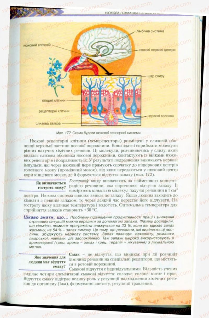 Страница 203 | Підручник Біологія 9 клас Н.Ю. Матяш, М.Н. Шабатура 2009