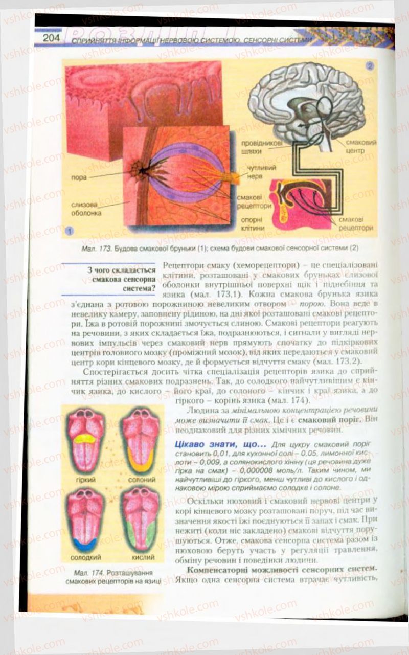 Страница 204 | Підручник Біологія 9 клас Н.Ю. Матяш, М.Н. Шабатура 2009