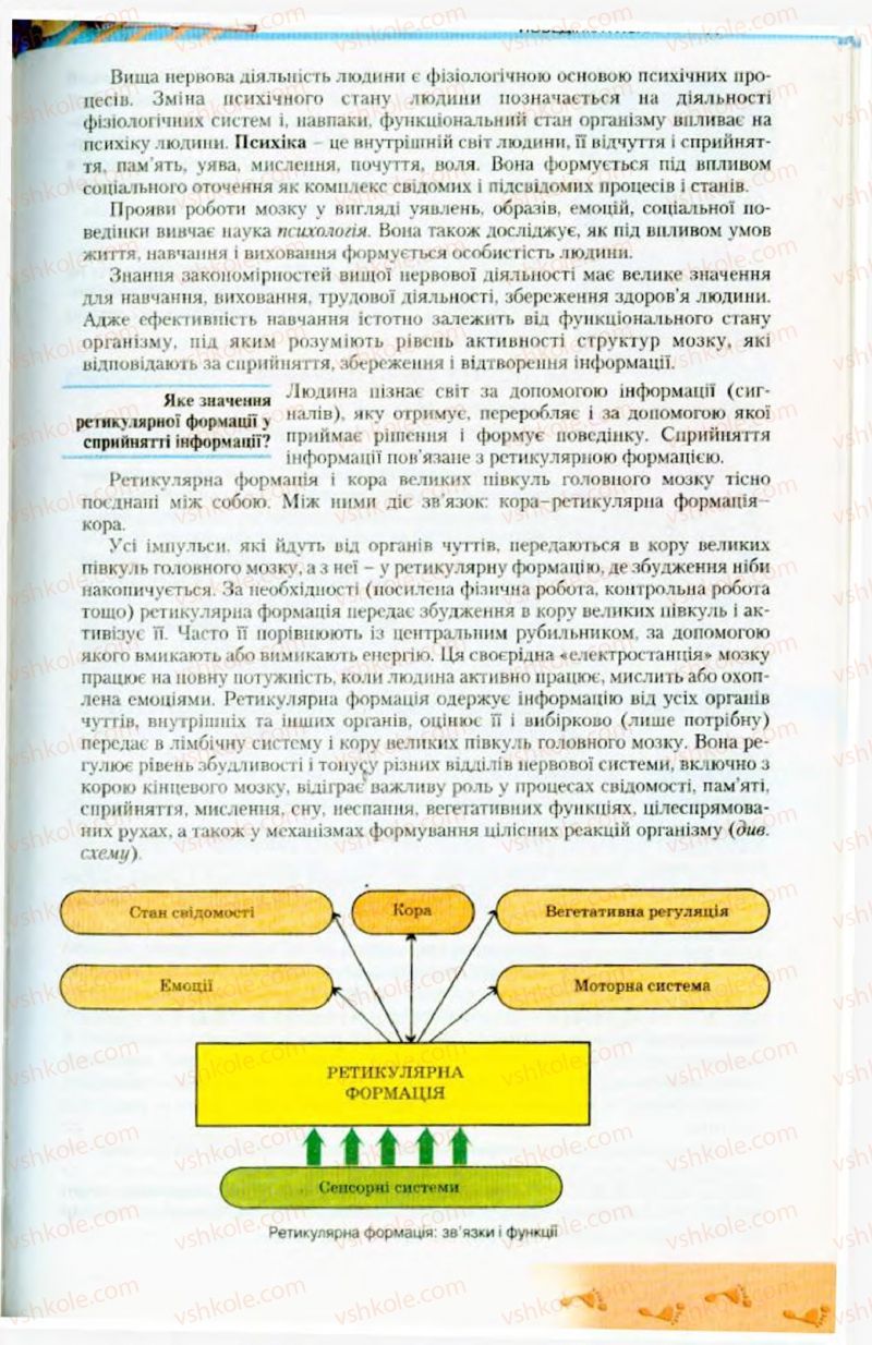 Страница 207 | Підручник Біологія 9 клас Н.Ю. Матяш, М.Н. Шабатура 2009