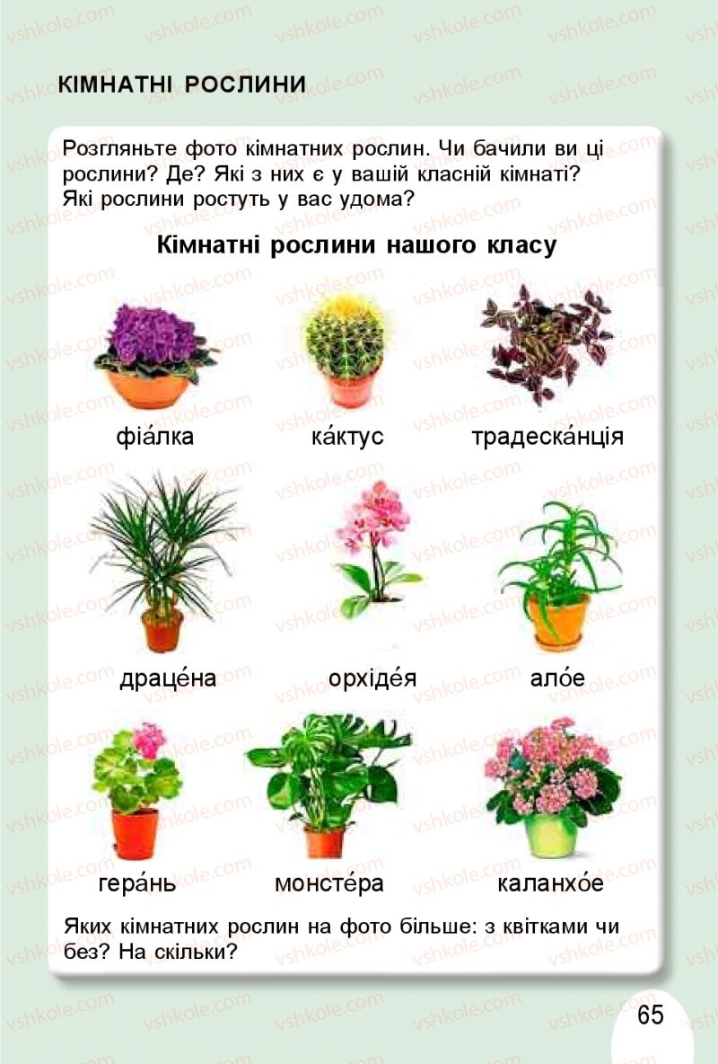 Страница 65 | Підручник Я досліджую світ 1 клас Т.Г. Гільберг, О.В. Гнатюк, Н.М. Павич 2018 1 частина