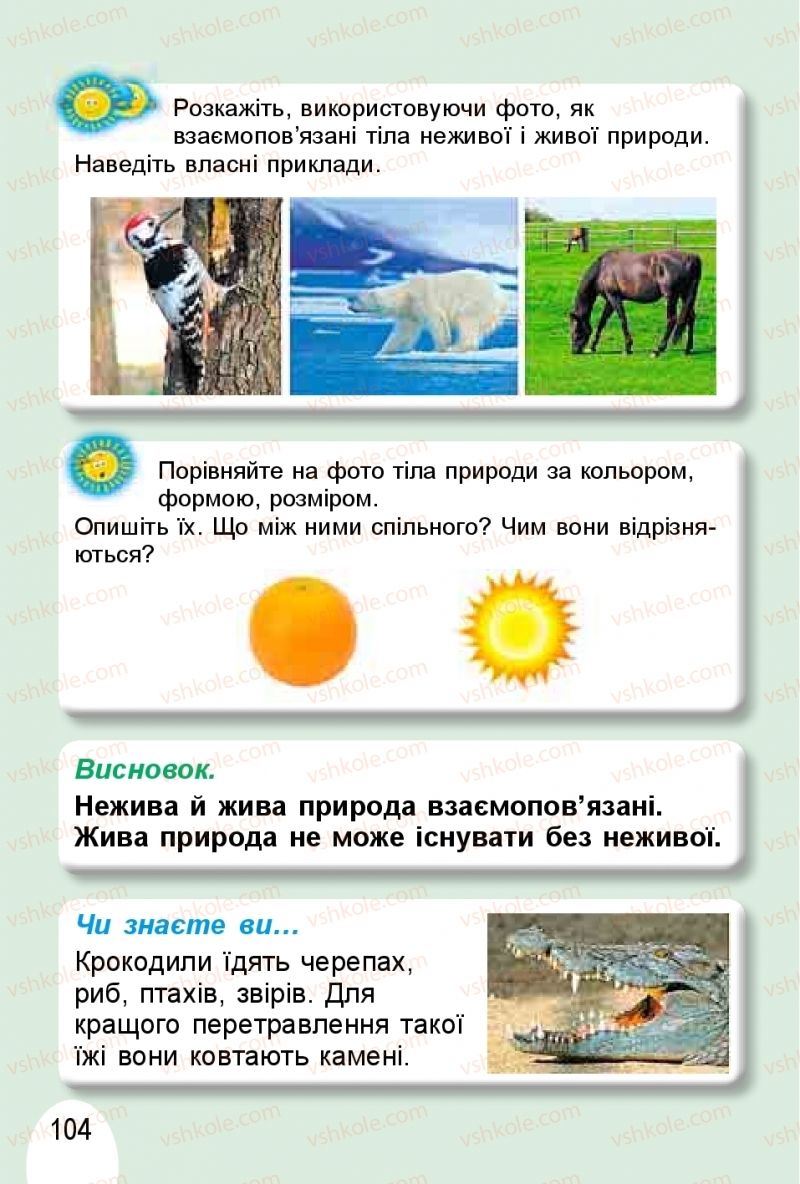 Страница 104 | Підручник Я досліджую світ 1 клас Т.Г. Гільберг, О.В. Гнатюк, Н.М. Павич 2018 1 частина