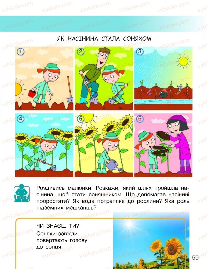 Страница 59 | Підручник Я досліджую світ 1 клас Н.М. Бібік, Г.П. Бондарчук 2018 1 частина