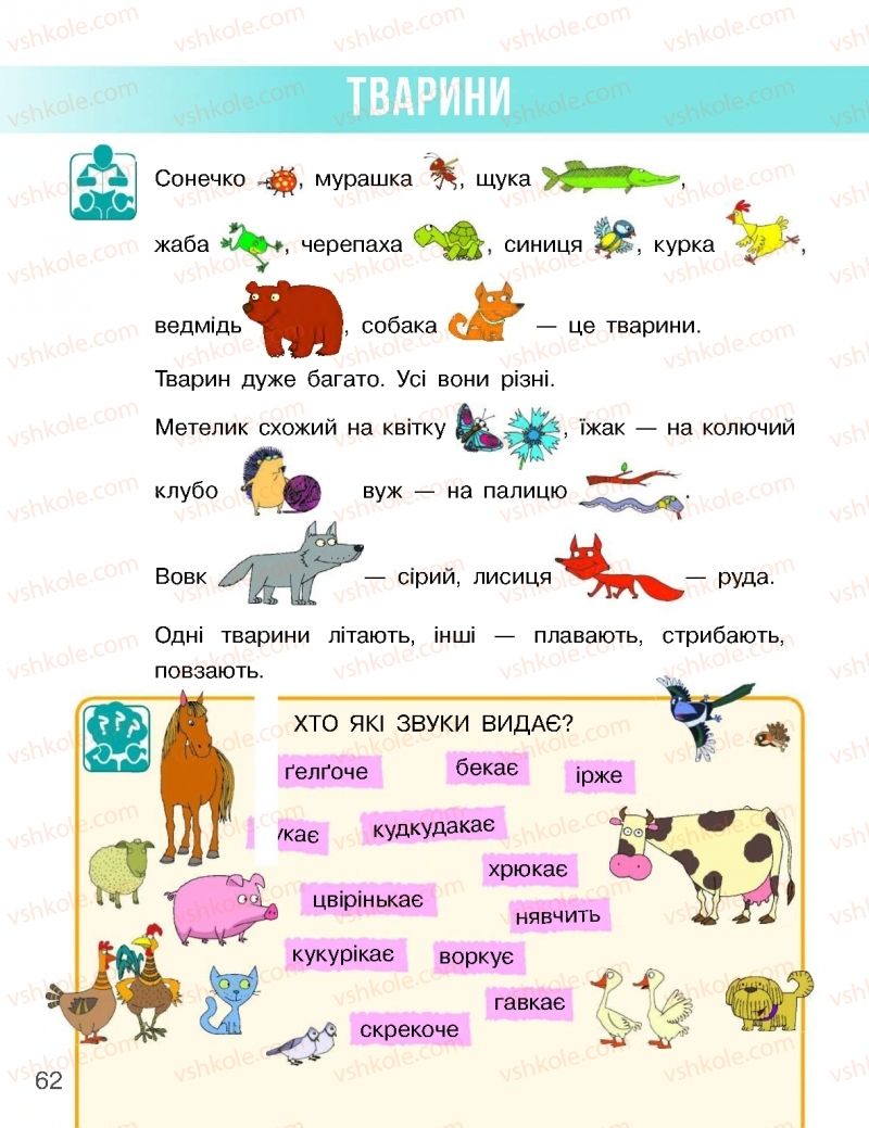 Страница 62 | Підручник Я досліджую світ 1 клас Н.М. Бібік, Г.П. Бондарчук 2018 1 частина