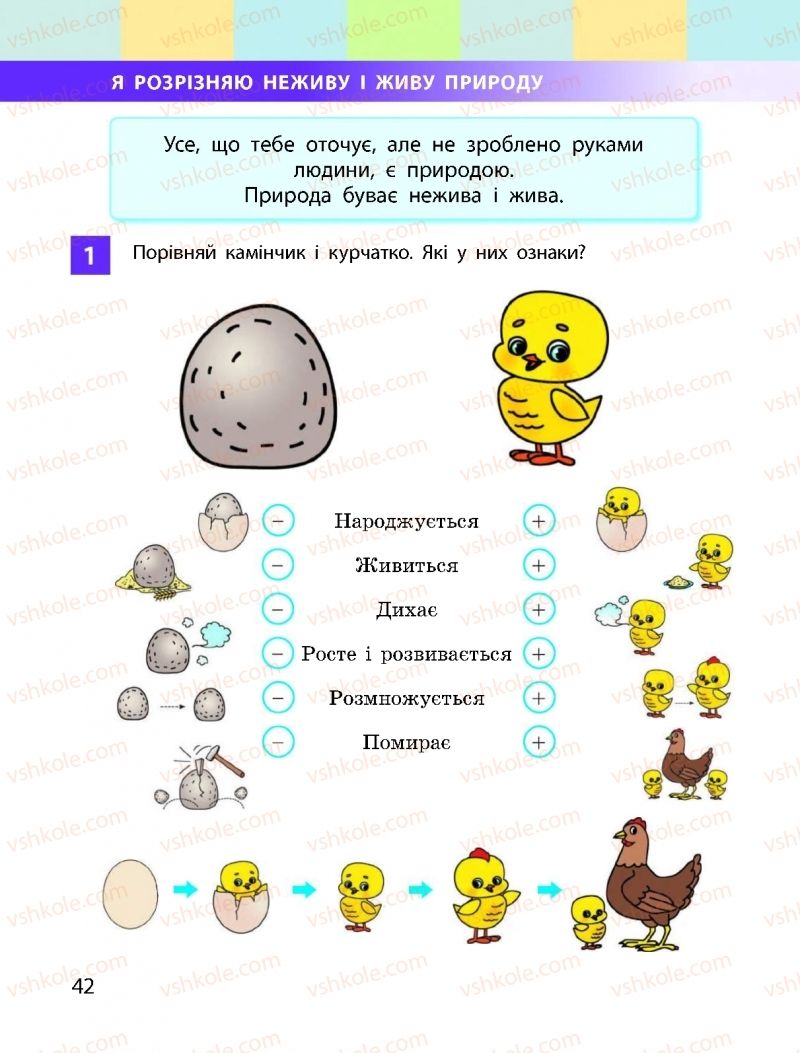 Страница 42 | Підручник Я досліджую світ 1 клас І.О. Большакова, М.С. Пристінська 2018 1 частина