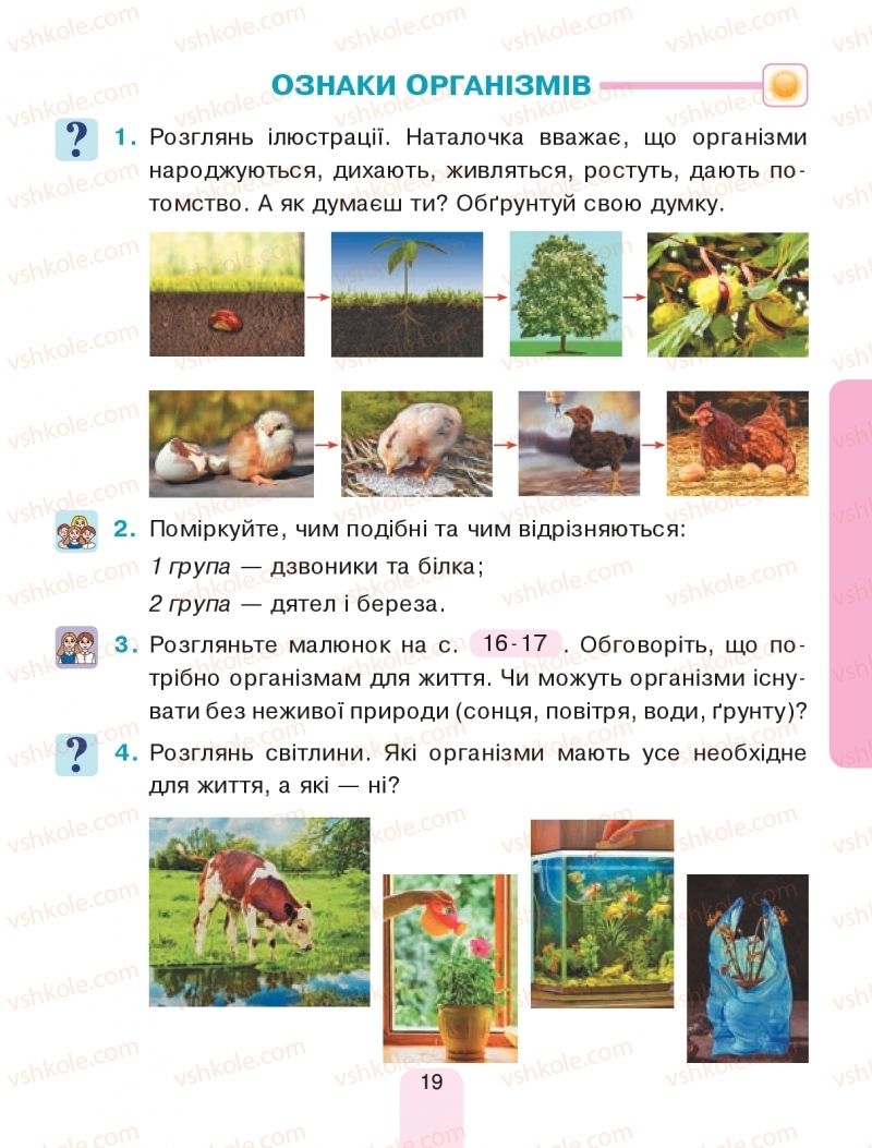 Страница 19 | Підручник Я досліджую світ 1 клас Н.О. Будна, Т.В. Гладюк, С.Г. Заброцька, Н.Б. Шост 2018 1 частина