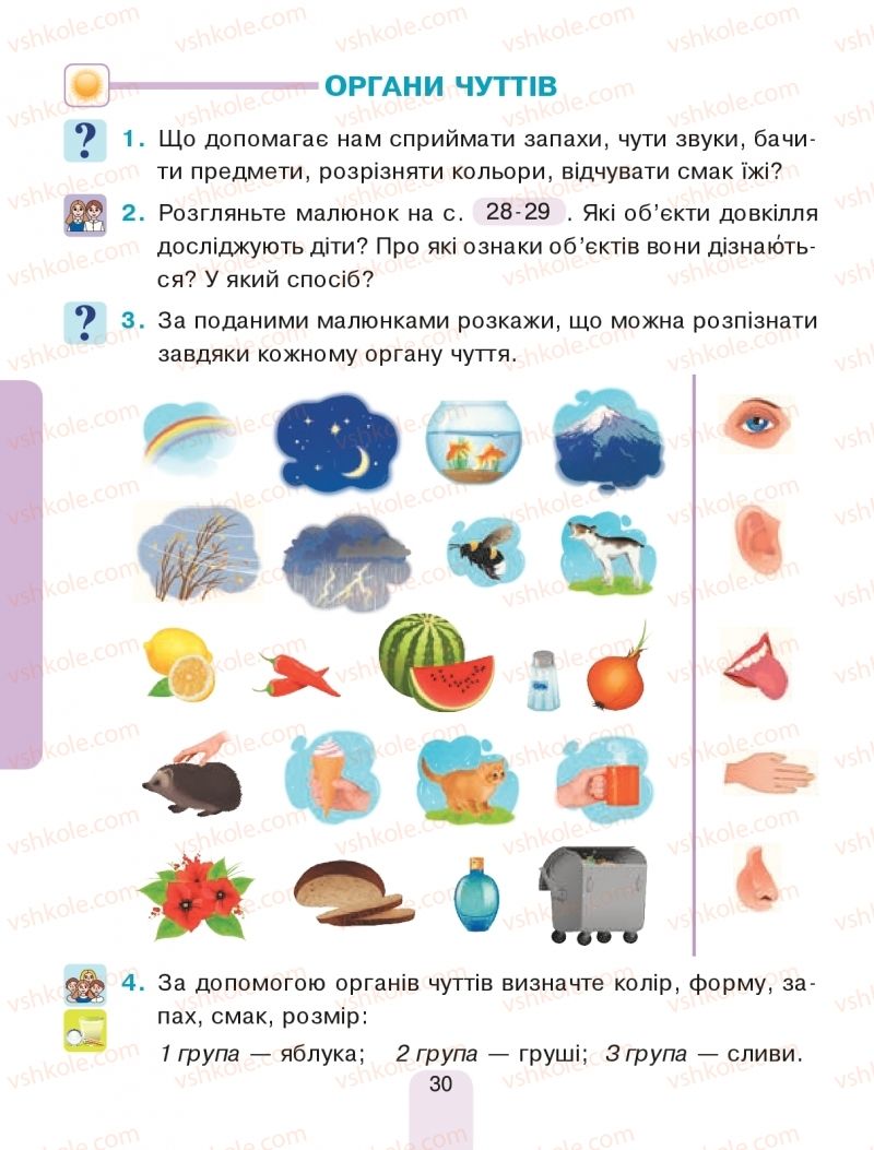 Страница 30 | Підручник Я досліджую світ 1 клас Н.О. Будна, Т.В. Гладюк, С.Г. Заброцька, Н.Б. Шост 2018 1 частина