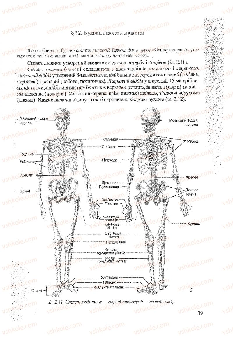 Страница 39 | Підручник Біологія 9 клас А.В. Степанюк, Н.Й. Міщук, Т.В. Гладюк 2009