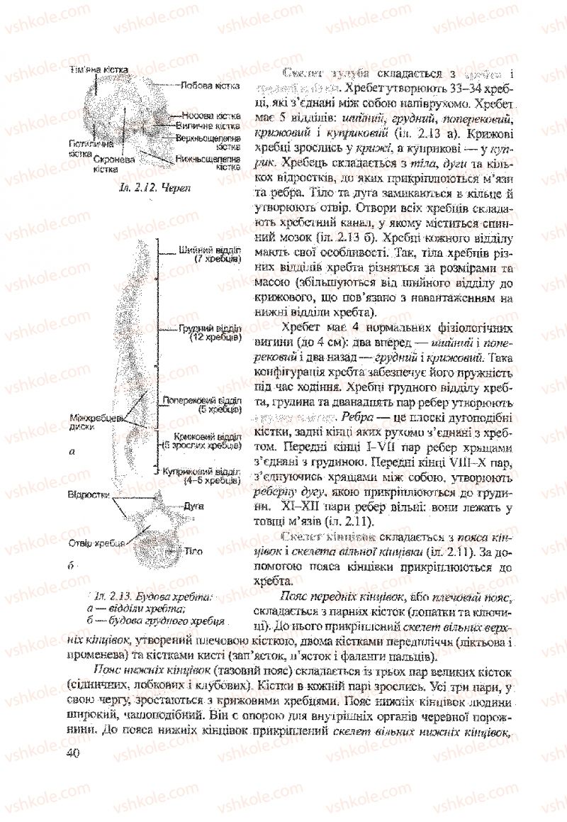 Страница 40 | Підручник Біологія 9 клас А.В. Степанюк, Н.Й. Міщук, Т.В. Гладюк 2009