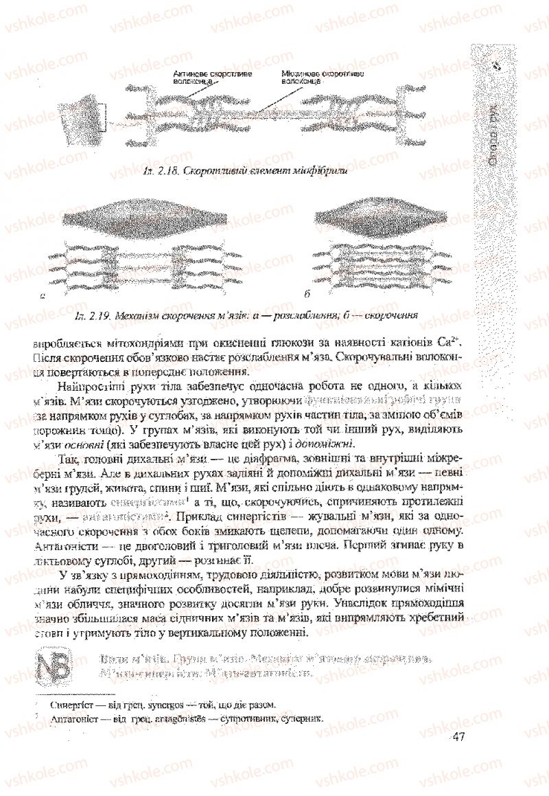 Страница 47 | Підручник Біологія 9 клас А.В. Степанюк, Н.Й. Міщук, Т.В. Гладюк 2009