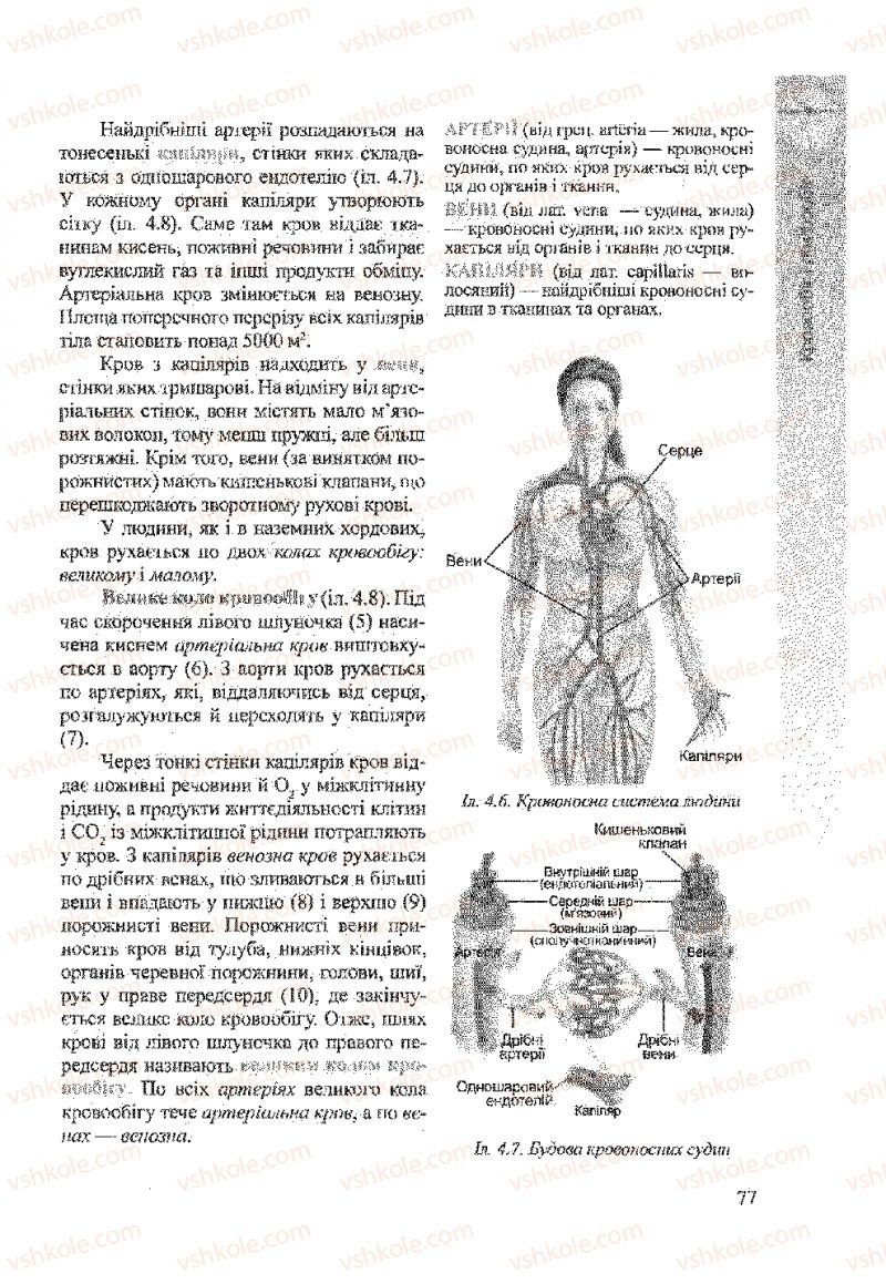 Страница 77 | Підручник Біологія 9 клас А.В. Степанюк, Н.Й. Міщук, Т.В. Гладюк 2009