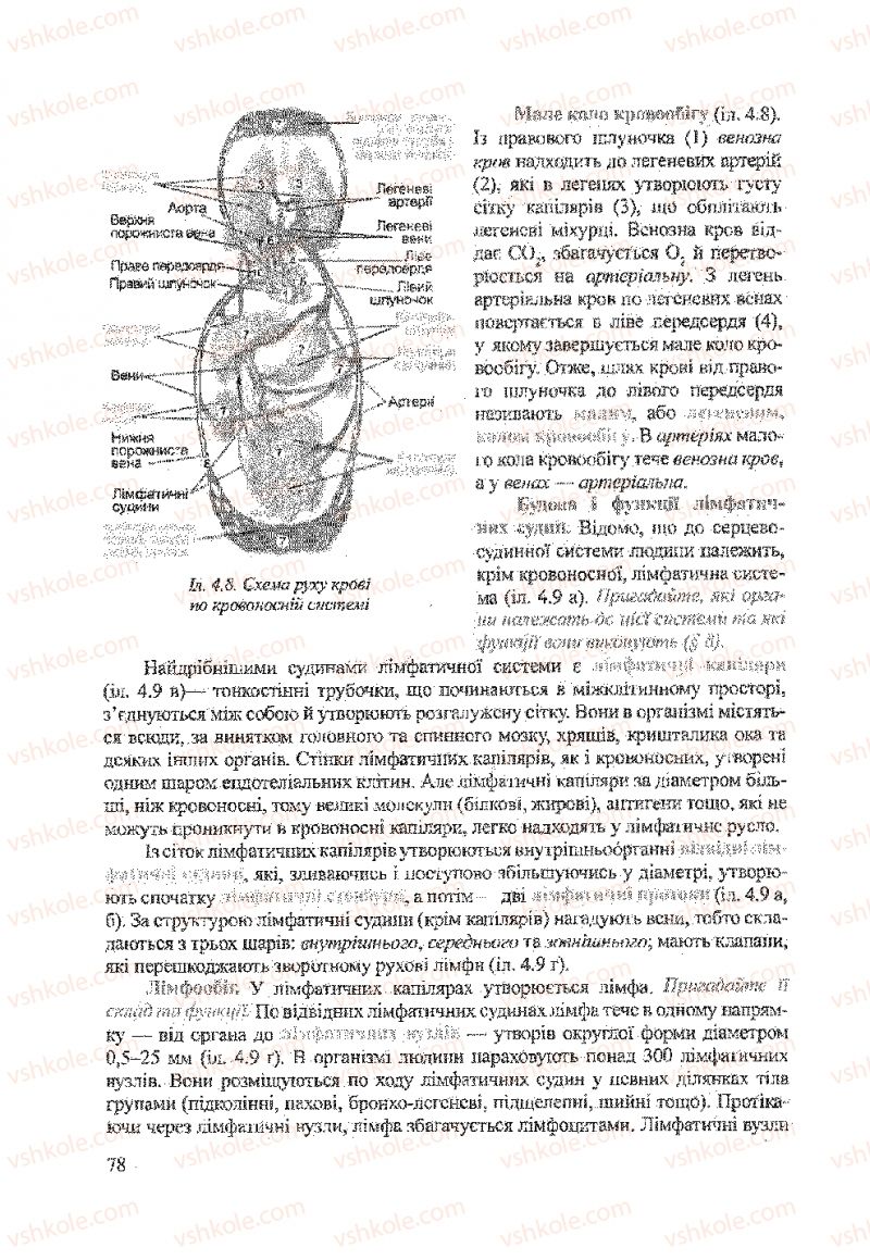 Страница 78 | Підручник Біологія 9 клас А.В. Степанюк, Н.Й. Міщук, Т.В. Гладюк 2009