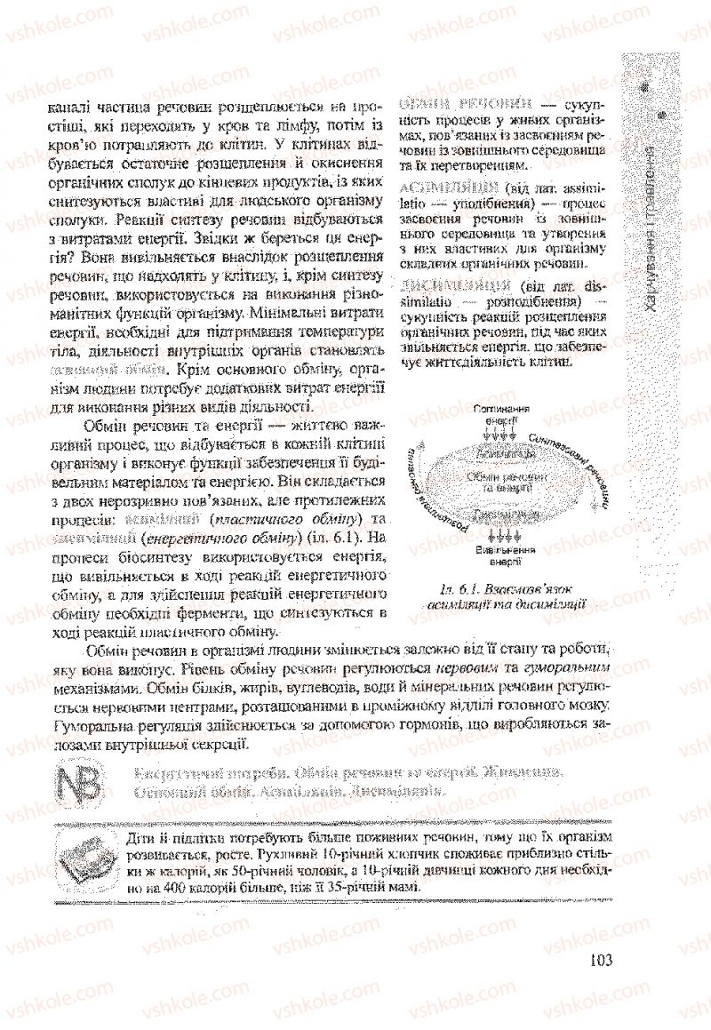 Страница 103 | Підручник Біологія 9 клас А.В. Степанюк, Н.Й. Міщук, Т.В. Гладюк 2009