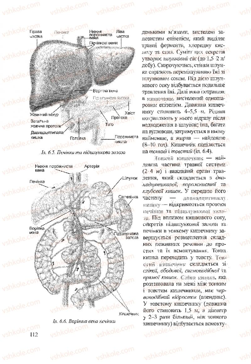 Страница 112 | Підручник Біологія 9 клас А.В. Степанюк, Н.Й. Міщук, Т.В. Гладюк 2009