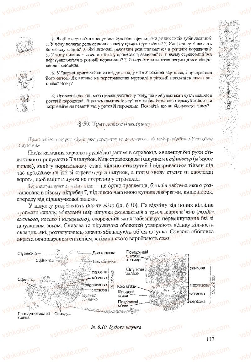 Страница 117 | Підручник Біологія 9 клас А.В. Степанюк, Н.Й. Міщук, Т.В. Гладюк 2009