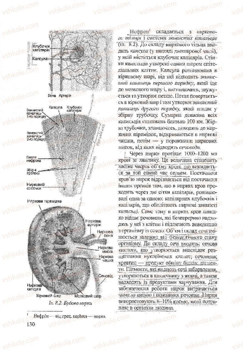 Страница 130 | Підручник Біологія 9 клас А.В. Степанюк, Н.Й. Міщук, Т.В. Гладюк 2009