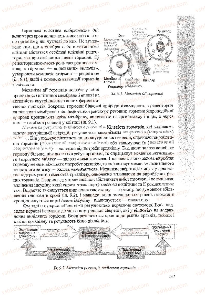 Страница 137 | Підручник Біологія 9 клас А.В. Степанюк, Н.Й. Міщук, Т.В. Гладюк 2009