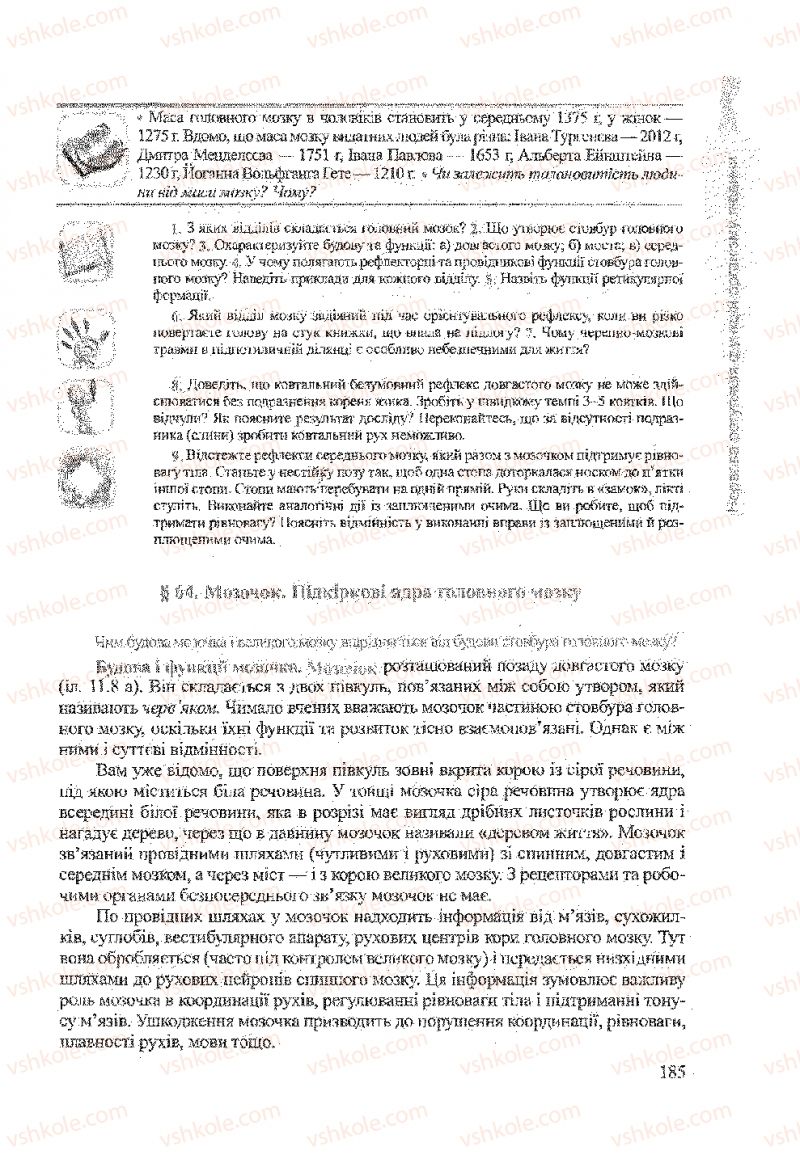 Страница 185 | Підручник Біологія 9 клас А.В. Степанюк, Н.Й. Міщук, Т.В. Гладюк 2009