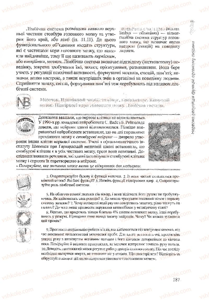 Страница 187 | Підручник Біологія 9 клас А.В. Степанюк, Н.Й. Міщук, Т.В. Гладюк 2009