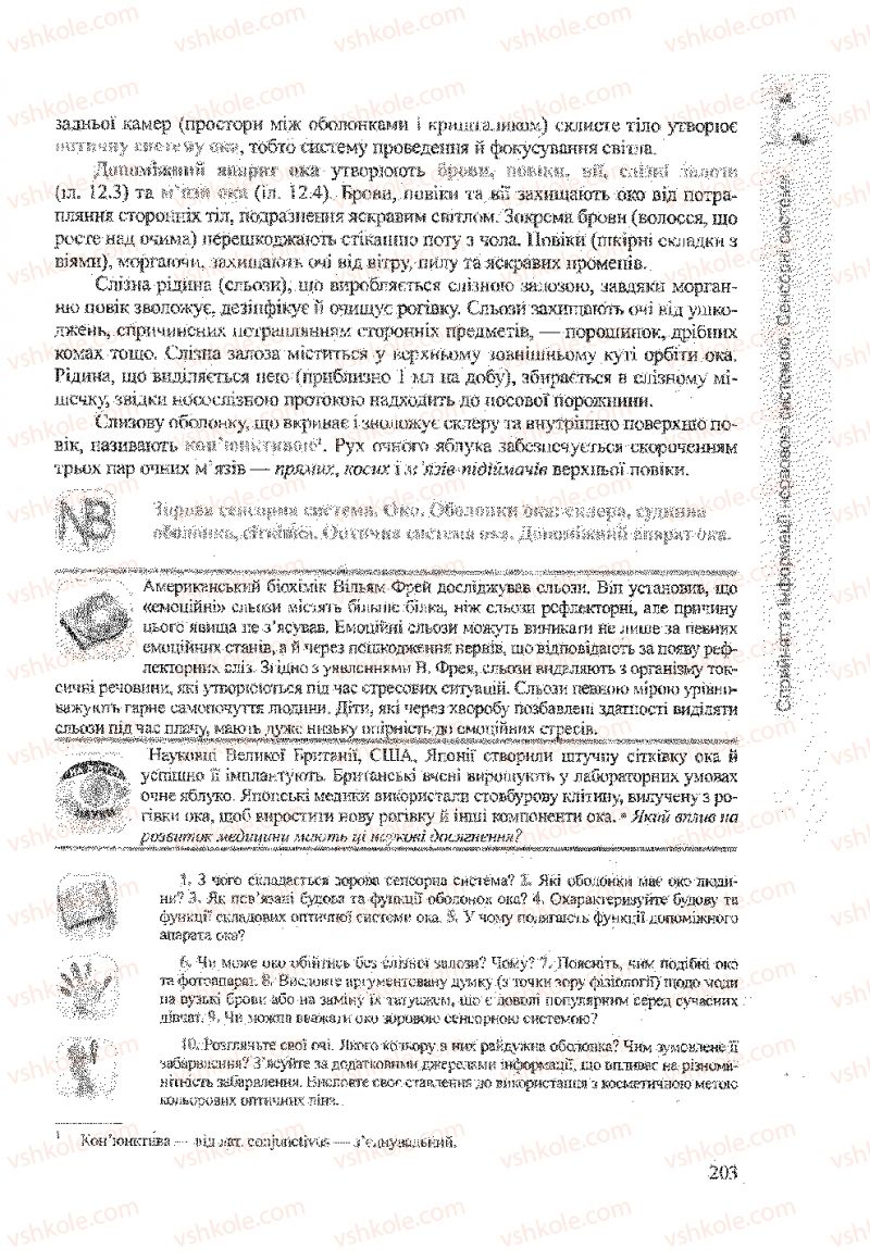 Страница 203 | Підручник Біологія 9 клас А.В. Степанюк, Н.Й. Міщук, Т.В. Гладюк 2009