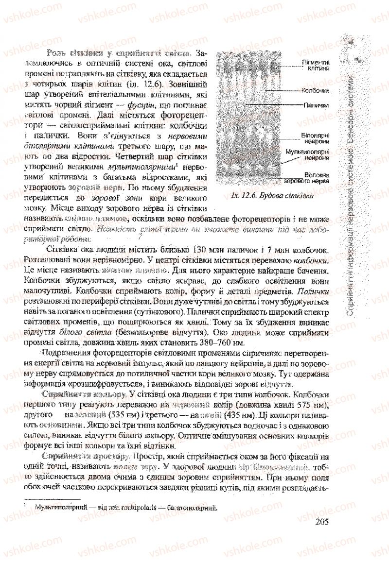 Страница 205 | Підручник Біологія 9 клас А.В. Степанюк, Н.Й. Міщук, Т.В. Гладюк 2009