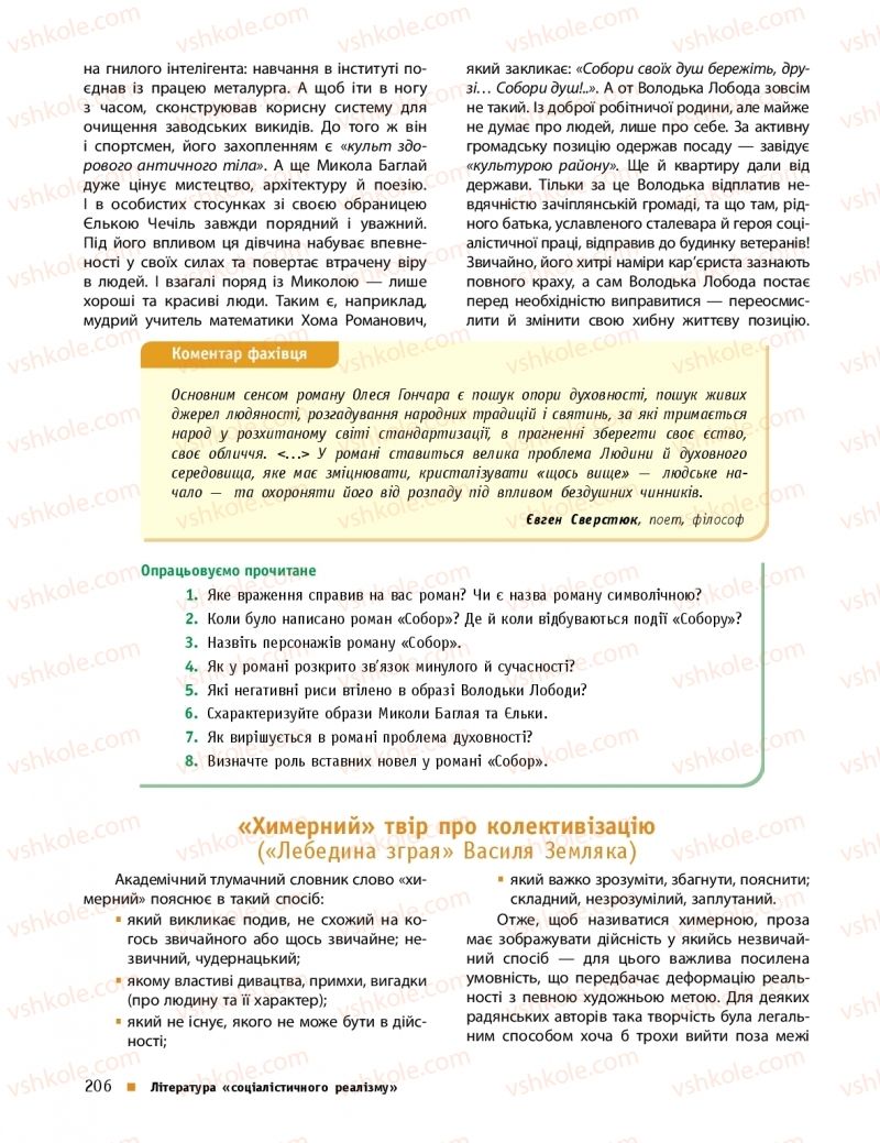 Страница 206 | Підручник Українська література 11 клас О.І. Борзенко, О.В. Лобусова 2019 Профільний рівень