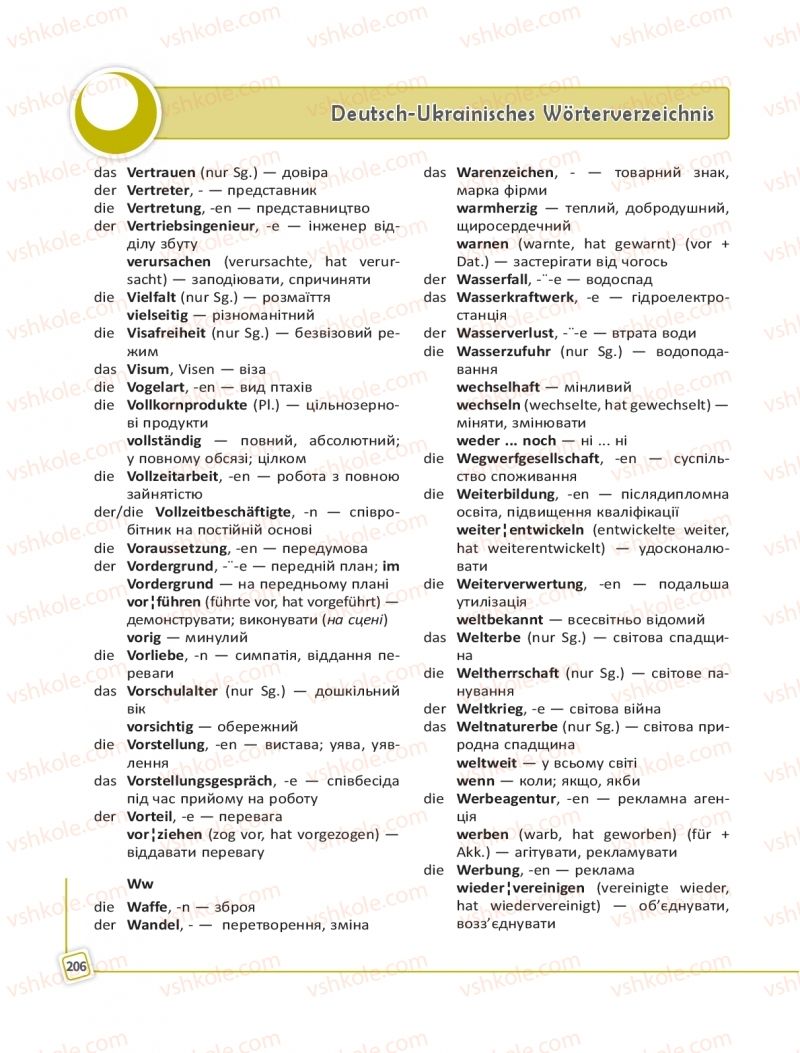 Страница 206 | Підручник Німецька мова 11 клас С.І. Сотникова, Г.В. Гоголєва 2019 11 рік навчання