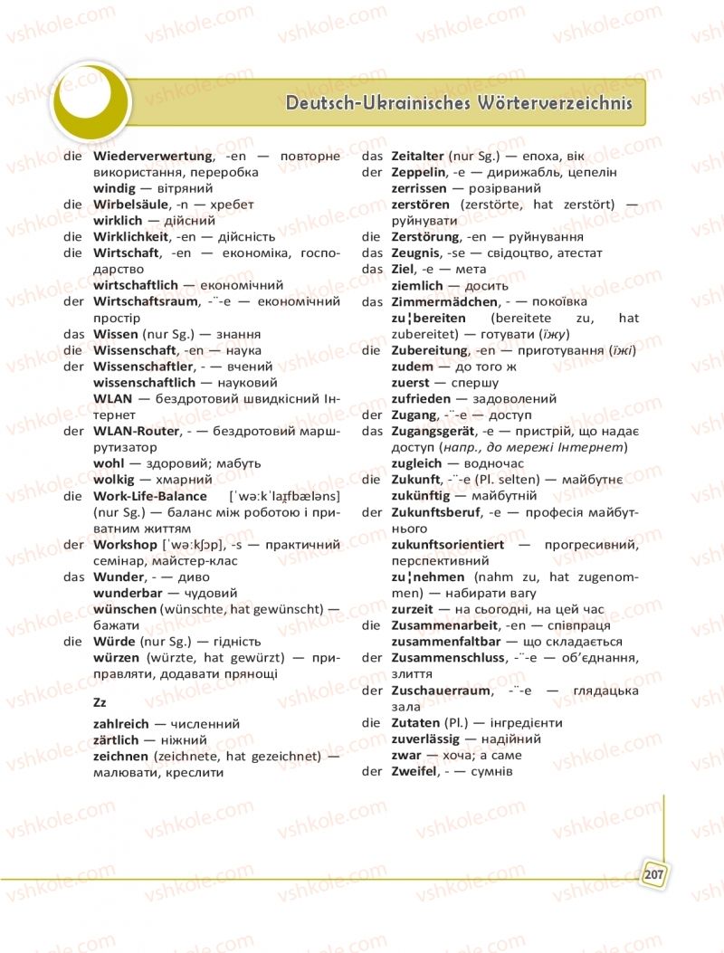 Страница 207 | Підручник Німецька мова 11 клас С.І. Сотникова, Г.В. Гоголєва 2019 11 рік навчання