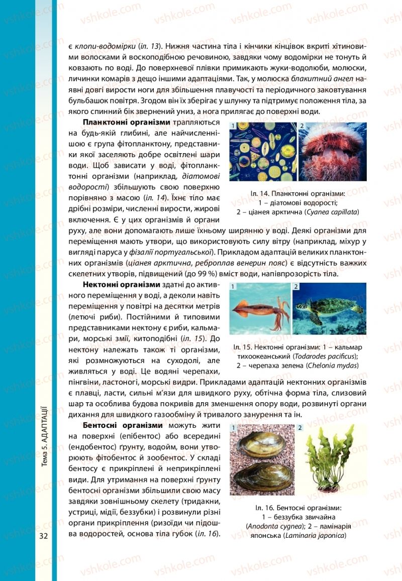 Страница 32 | Підручник Біологія 11 клас В.І. Соболь 2019