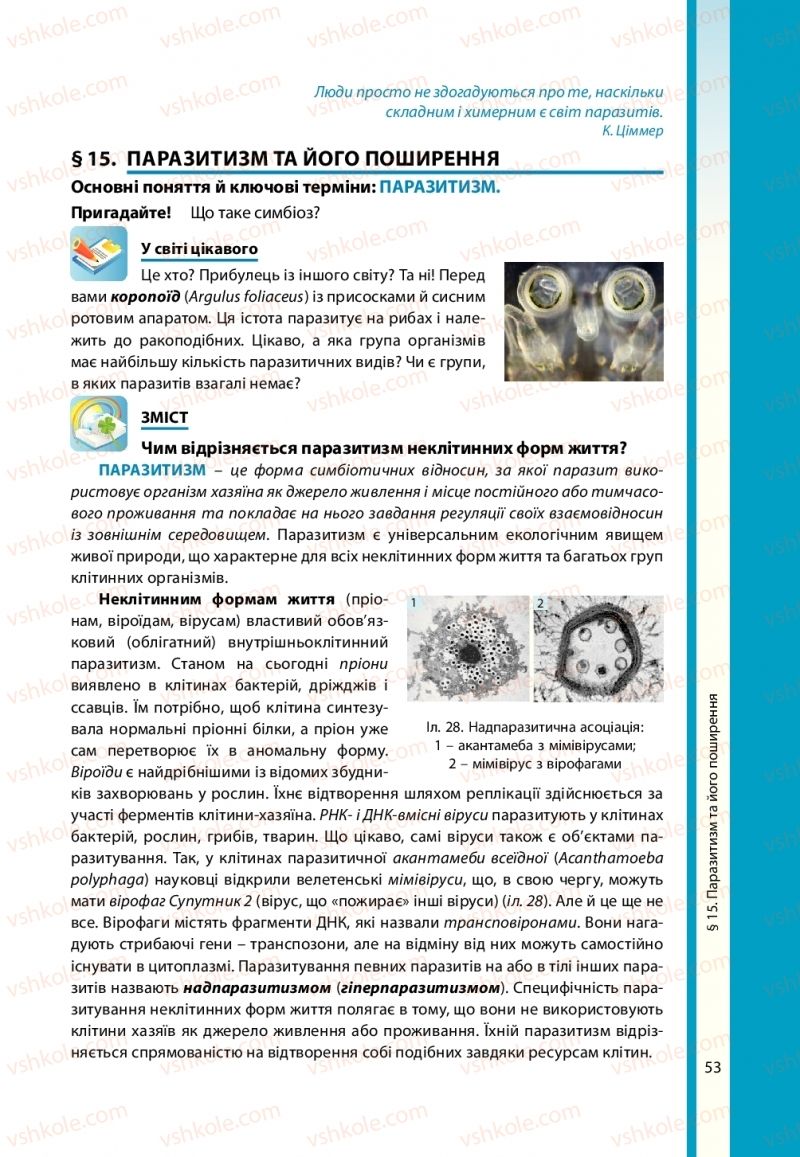 Страница 53 | Підручник Біологія 11 клас В.І. Соболь 2019