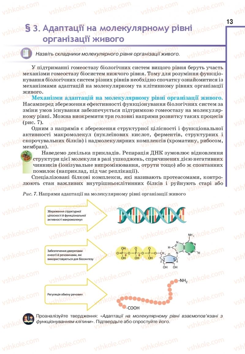 Страница 13 | Підручник Біологія 11 клас О.А. Андерсон, М.А. Вихренко, А.О. Чернінський, С.М. Міюс 2019