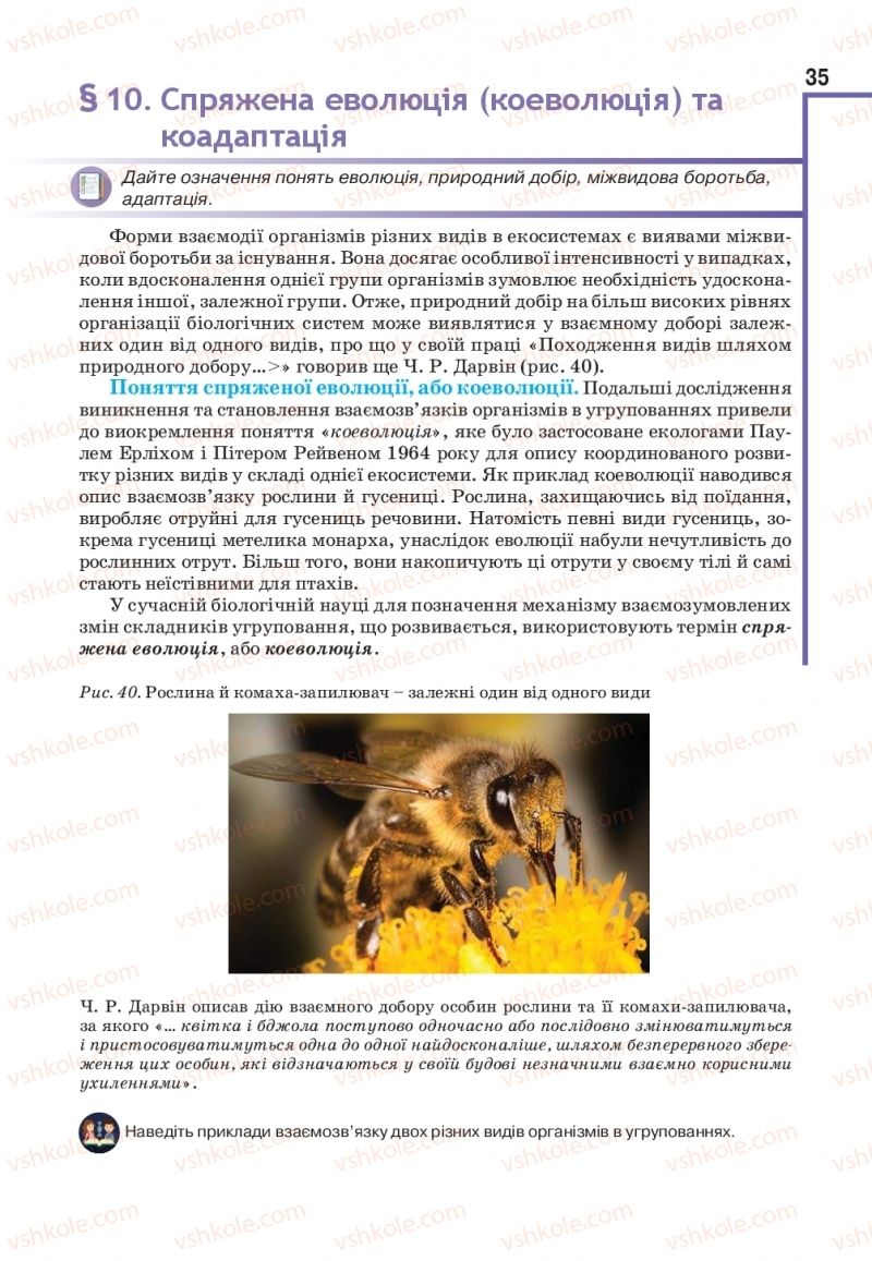 Страница 35 | Підручник Біологія 11 клас О.А. Андерсон, М.А. Вихренко, А.О. Чернінський, С.М. Міюс 2019