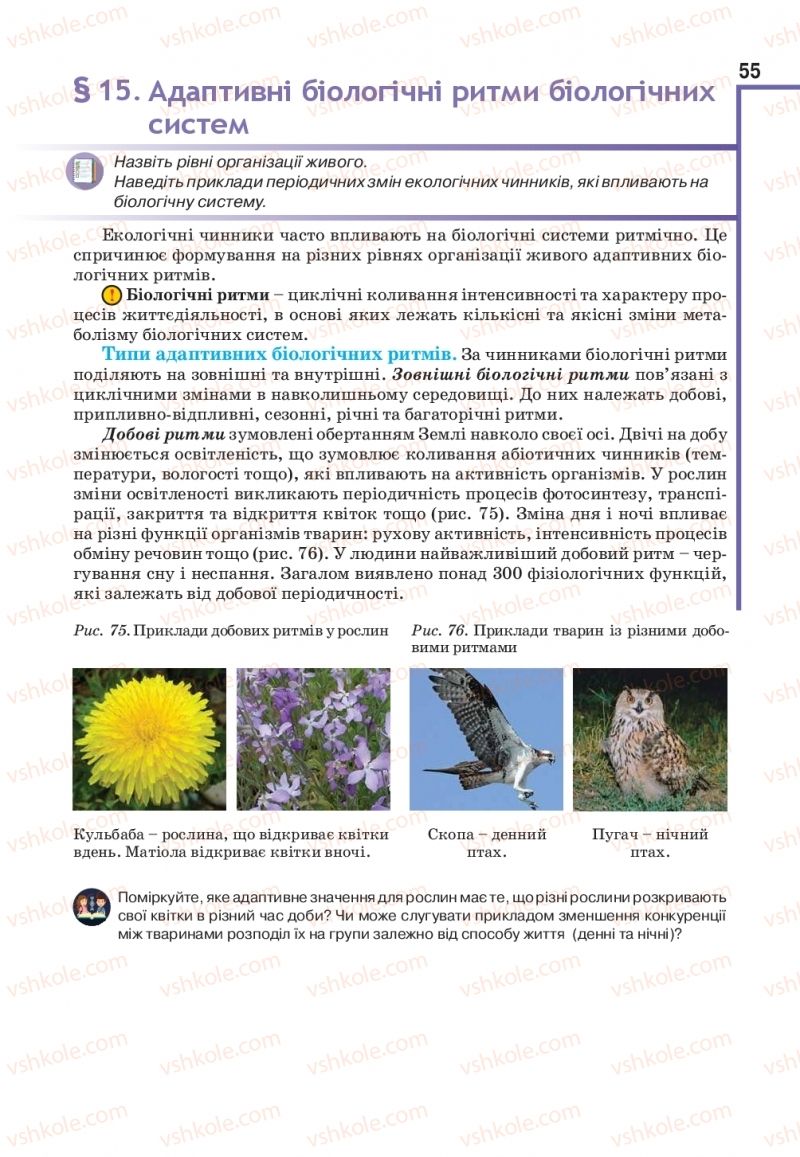 Страница 55 | Підручник Біологія 11 клас О.А. Андерсон, М.А. Вихренко, А.О. Чернінський, С.М. Міюс 2019