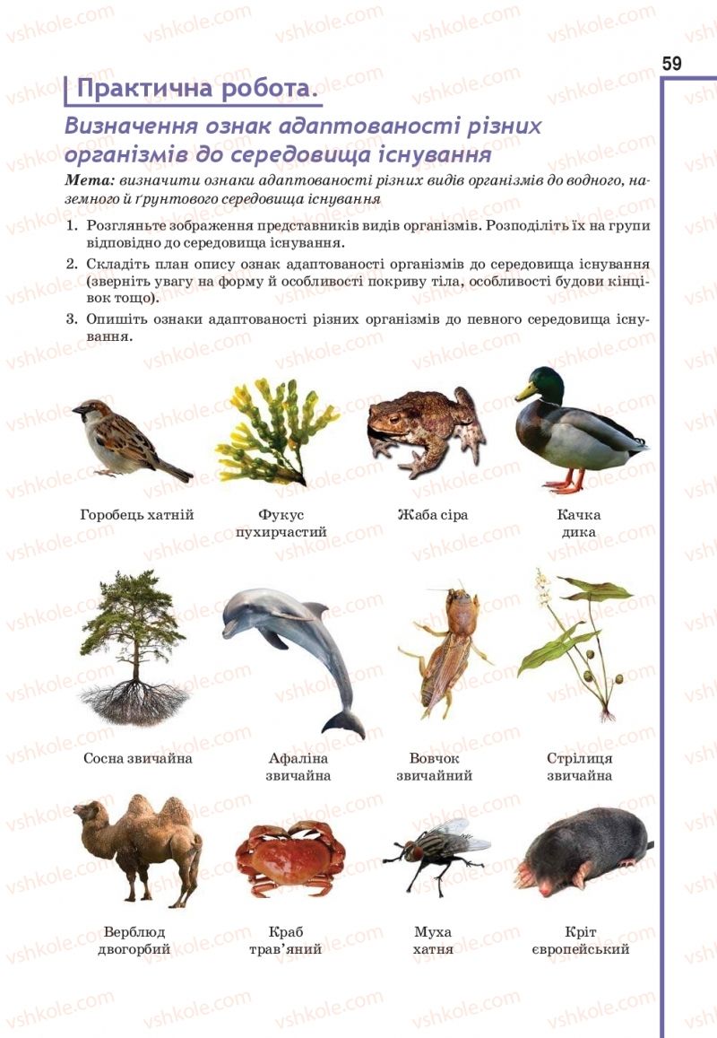 Страница 59 | Підручник Біологія 11 клас О.А. Андерсон, М.А. Вихренко, А.О. Чернінський, С.М. Міюс 2019
