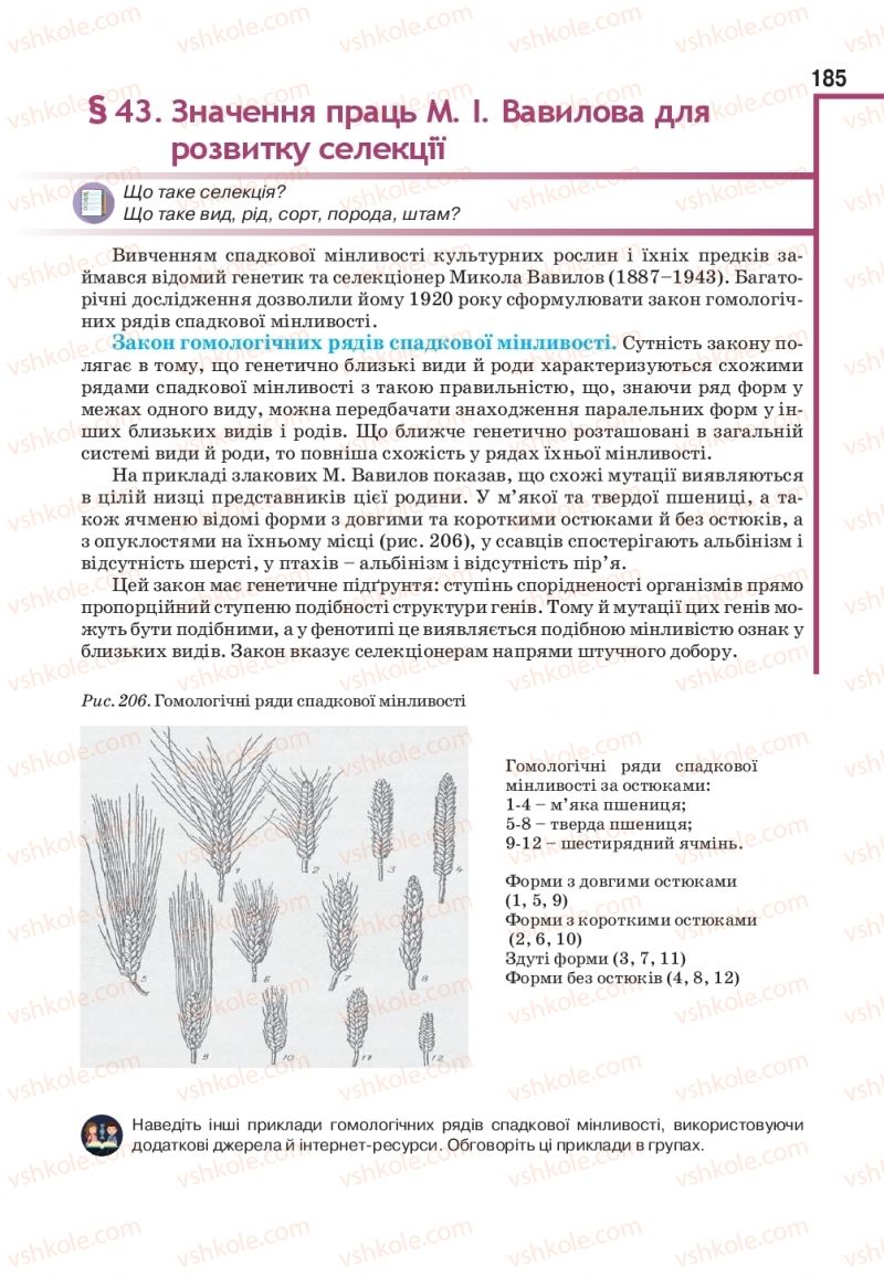 Страница 185 | Підручник Біологія 11 клас О.А. Андерсон, М.А. Вихренко, А.О. Чернінський, С.М. Міюс 2019