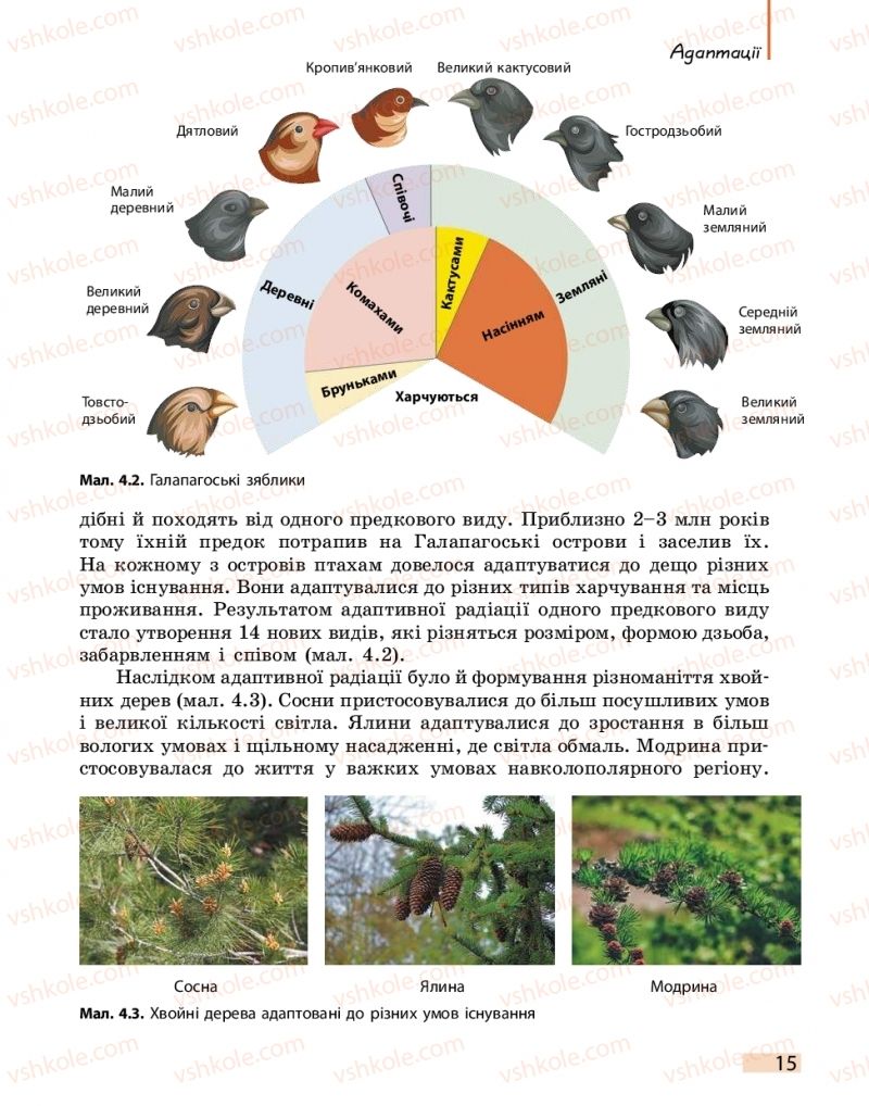 Страница 15 | Підручник Біологія 11 клас К.М. Задорожний 2019