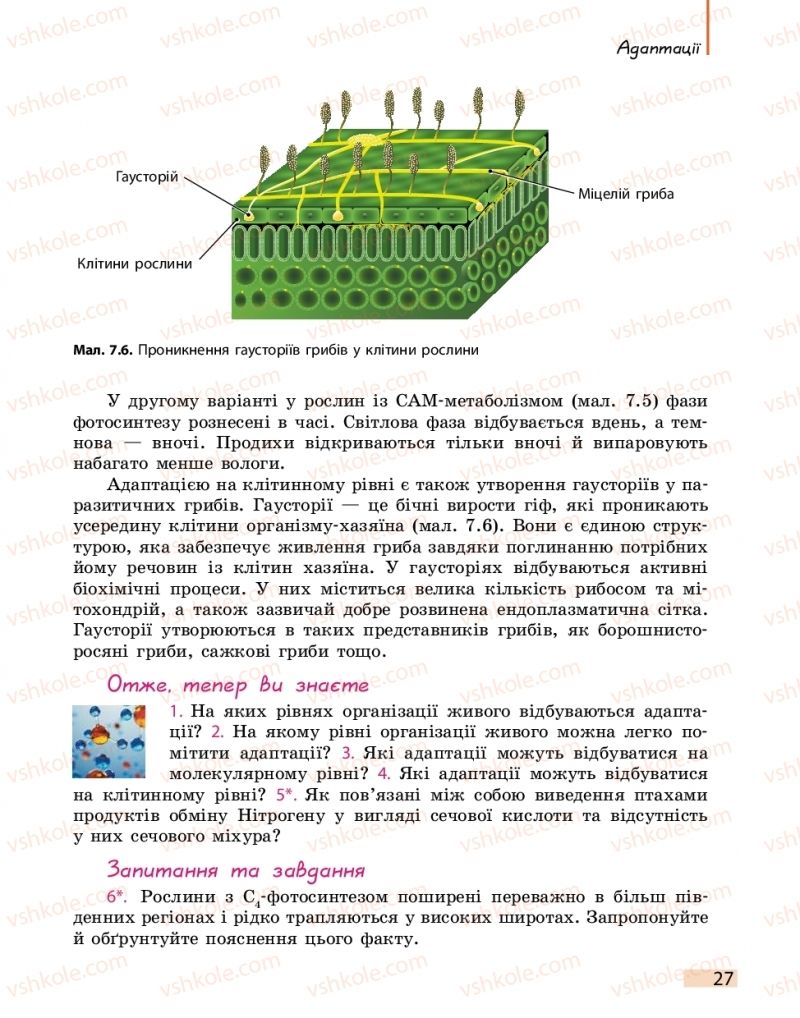 Страница 27 | Підручник Біологія 11 клас К.М. Задорожний 2019