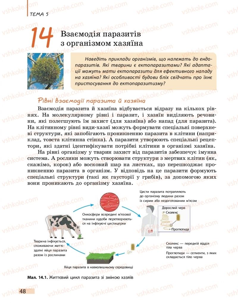 Страница 48 | Підручник Біологія 11 клас К.М. Задорожний 2019