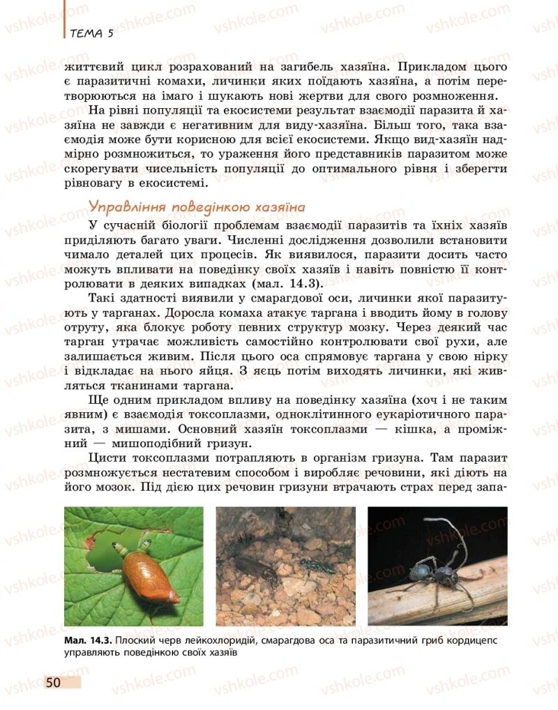 Страница 50 | Підручник Біологія 11 клас К.М. Задорожний 2019