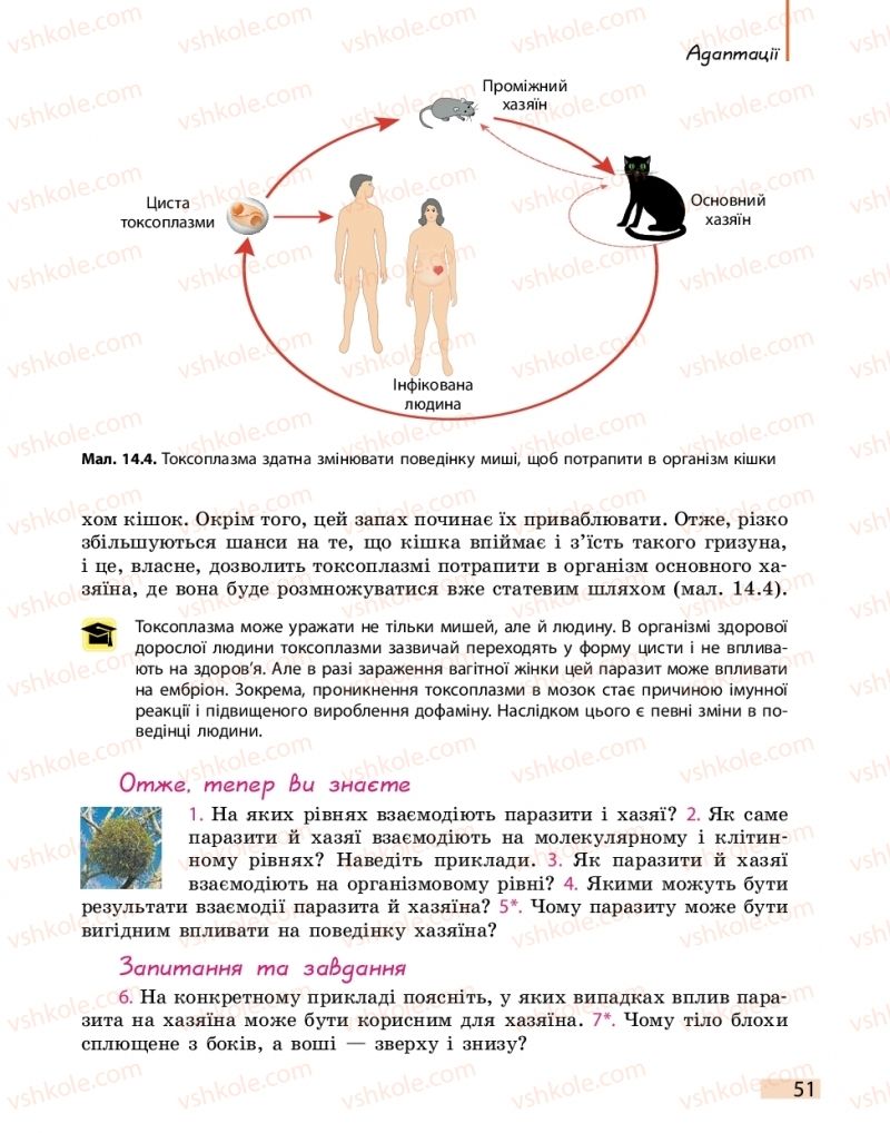 Страница 51 | Підручник Біологія 11 клас К.М. Задорожний 2019