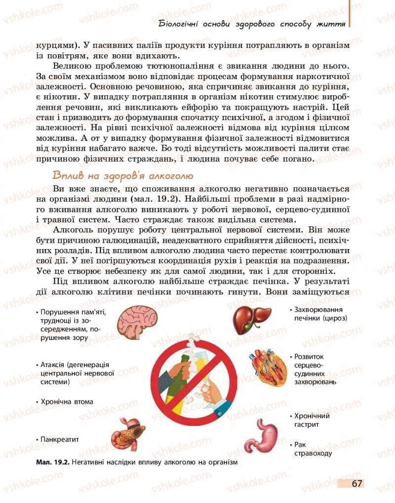 Страница 67 | Підручник Біологія 11 клас К.М. Задорожний 2019