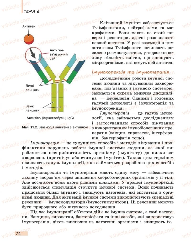 Страница 74 | Підручник Біологія 11 клас К.М. Задорожний 2019