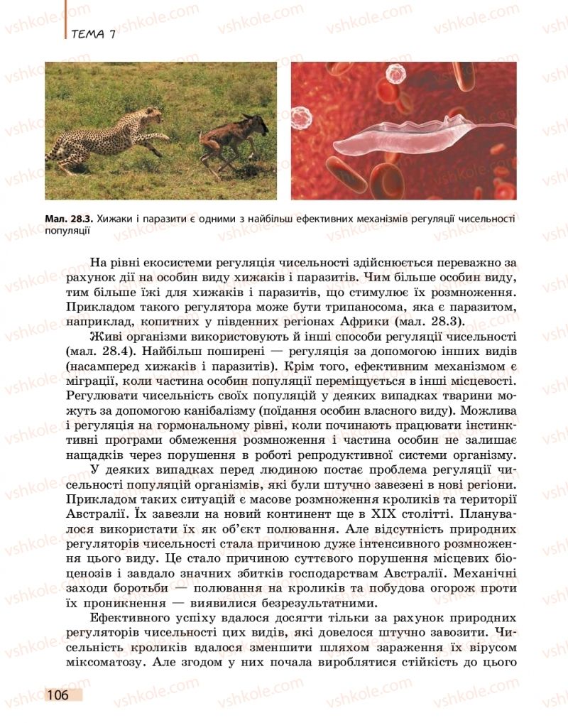 Страница 106 | Підручник Біологія 11 клас К.М. Задорожний 2019