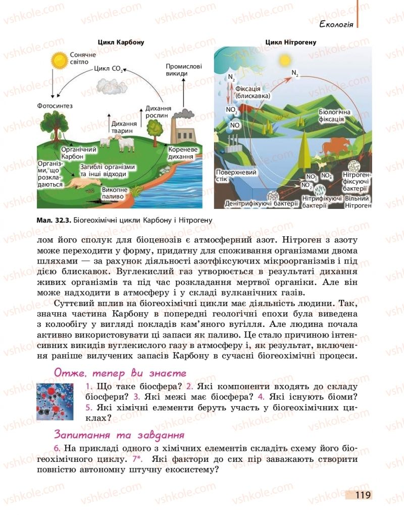 Страница 119 | Підручник Біологія 11 клас К.М. Задорожний 2019